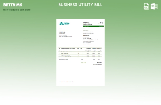 Модерен стил шаблон за деловни сметки за комунални услуги Sigla Companiei
